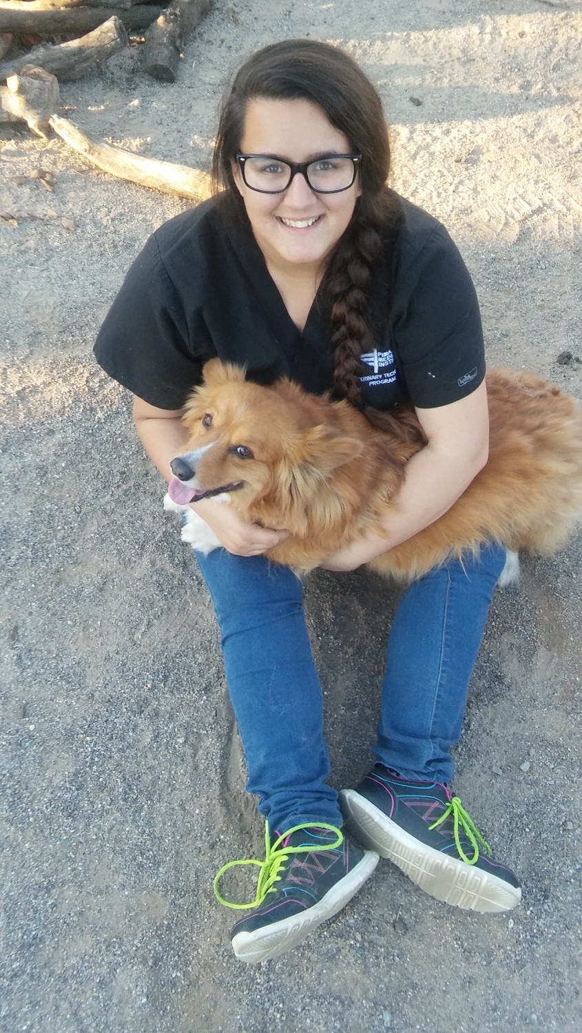Point Loma Veterinary Clinic - Ocean Beach, San Diego, CA - Our Staff - Caitlyn