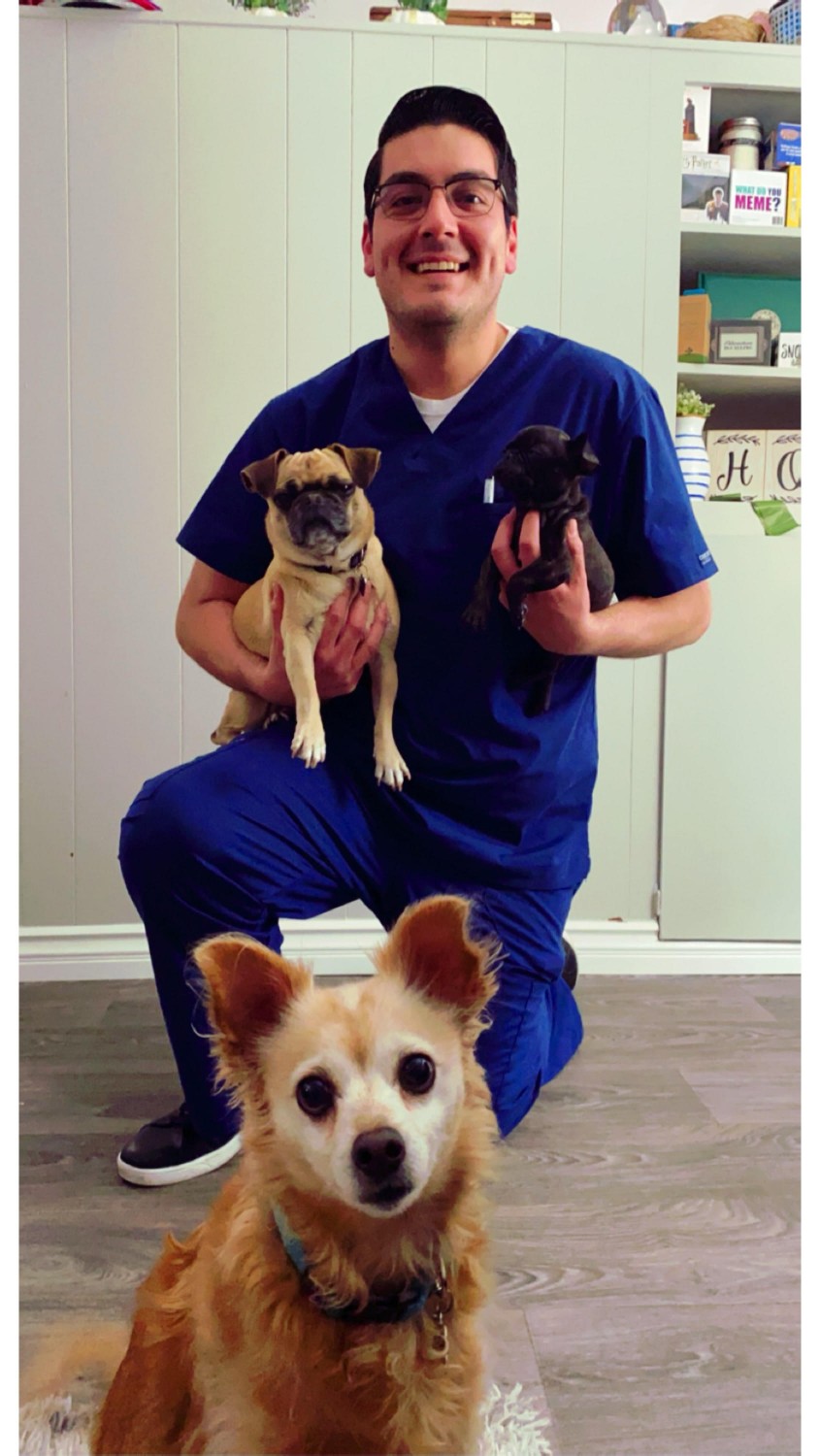 Charles - Veterinary Assistant with many dogs